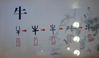 汉字产生的标志演变过程 汉字演变的过程